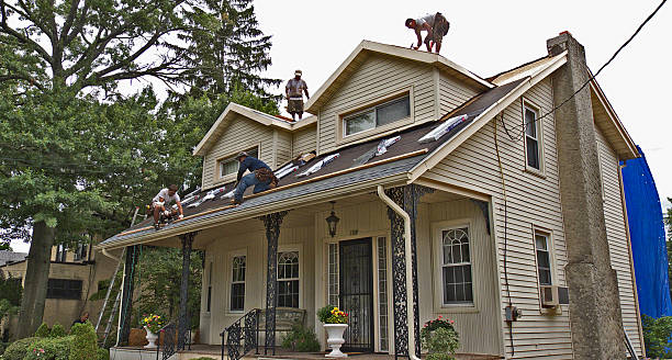 Best Best Roofing Contractors  in Wabasso, FL